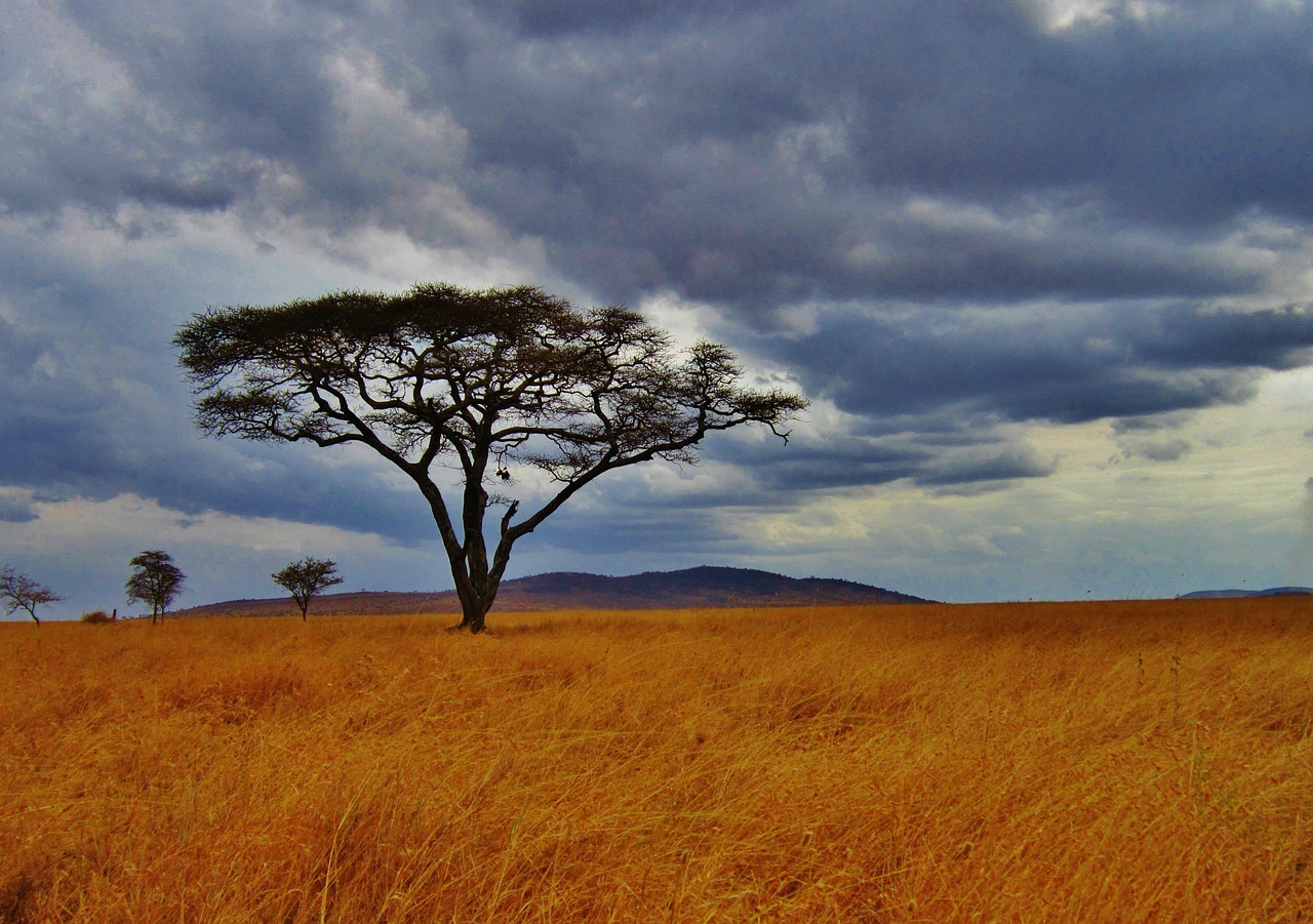 6-Day Masai Mara and Serengeti Safari Tour
